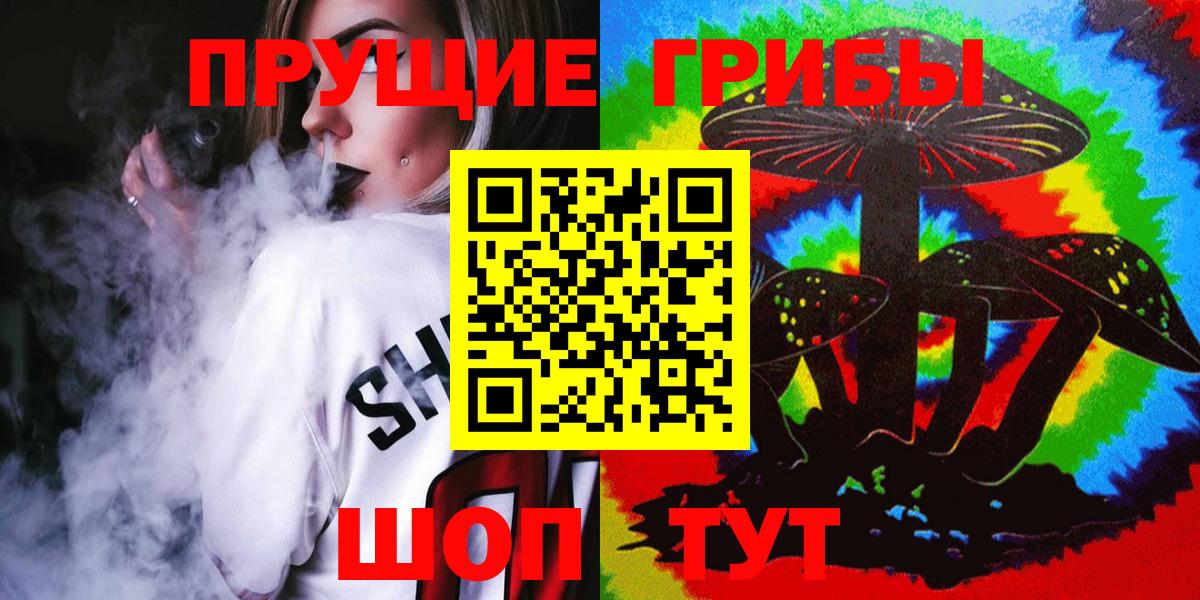 Псилоцибиновые грибы Psilocybine cubensis Губкинский