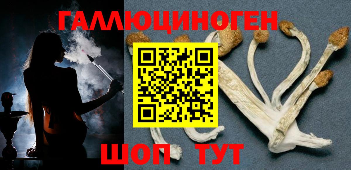 Псилоцибиновые грибы Psilocybe  Вход с VPN  Губкинский  Галлюциногенные грибы Psilocybe 